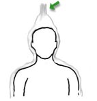 sonia-1c.jpg (9077 bytes)