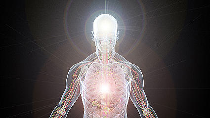 El Wai Qi 外氣 o Energía Vital Externa, es el vector que transporta el intento modulador del terapeuta y emerge transmutada, desde sus manos o su cuerpo, como Reiki 霊気