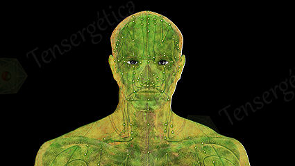 copyright Dr. Cristian Salado