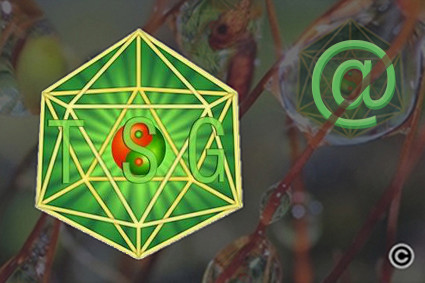 Contacte con el coordinador de su ciudad